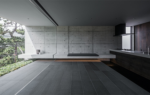 Residential Concrete Design